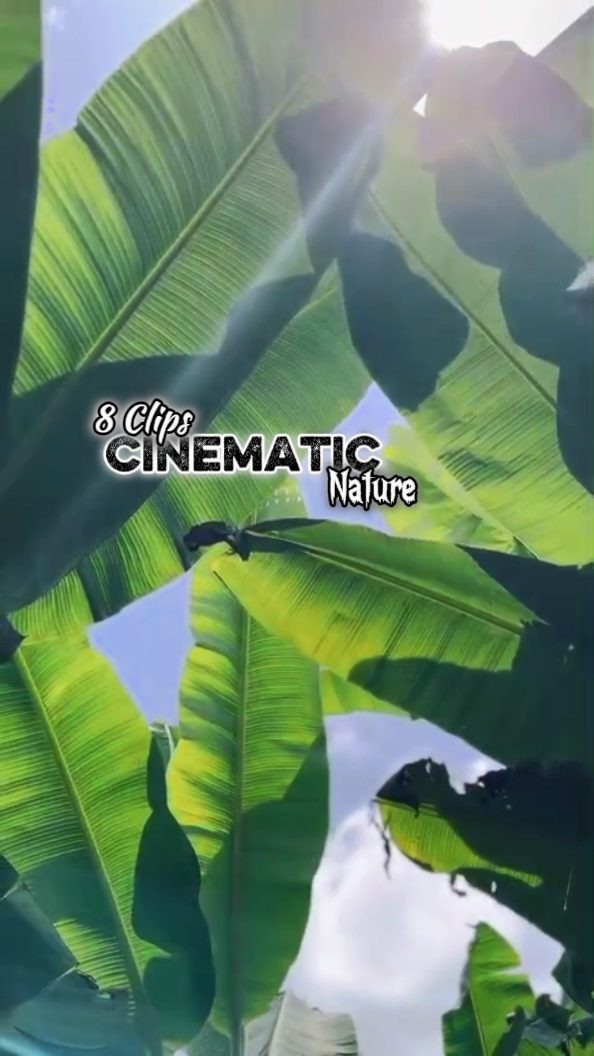 Clipes Cinemáticos 8 