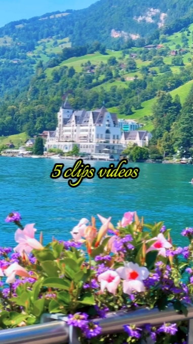 5 clips de videos 