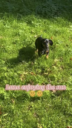 Luna & the sun☀️ 