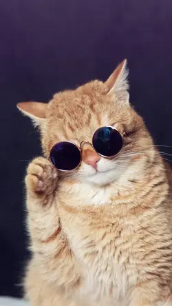 ခေက်စားနေ