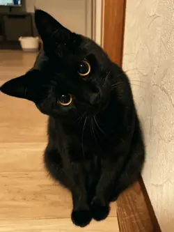 aqueles olhos