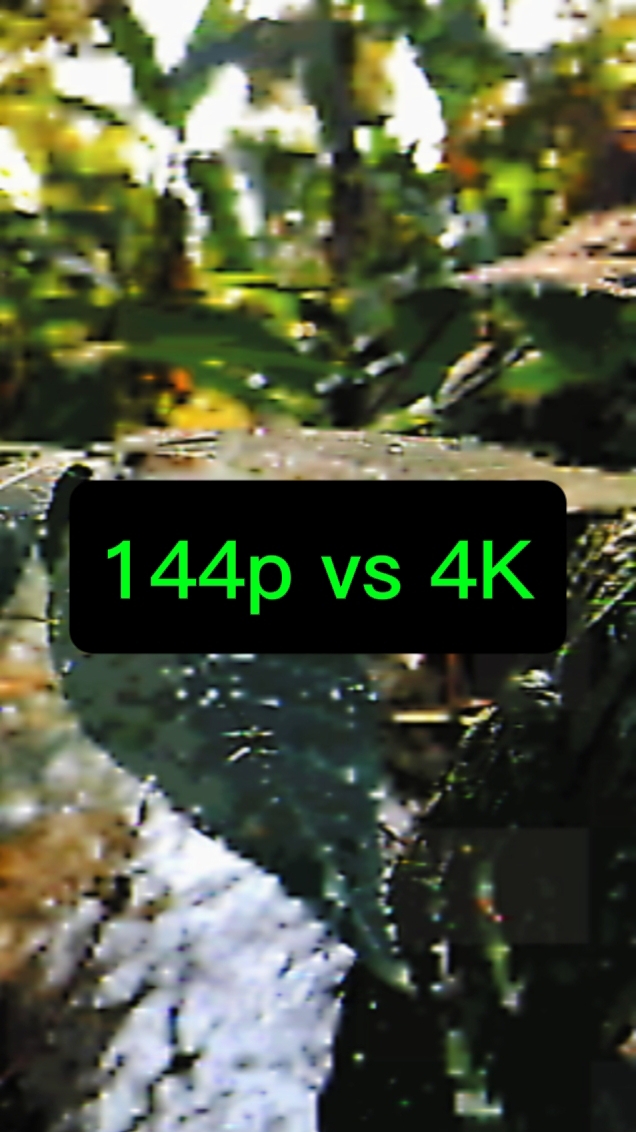 144p vs 4k nature