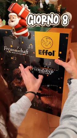 Advent calendar