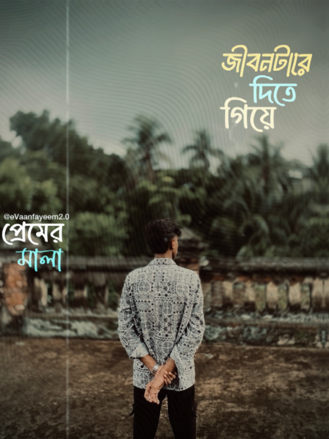 Cover Picture