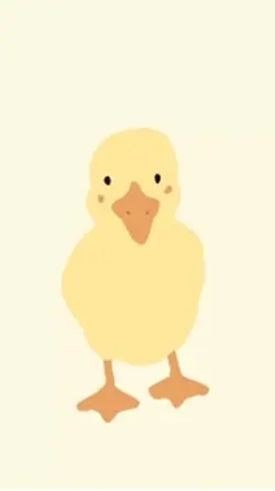 ducks wallpaperss