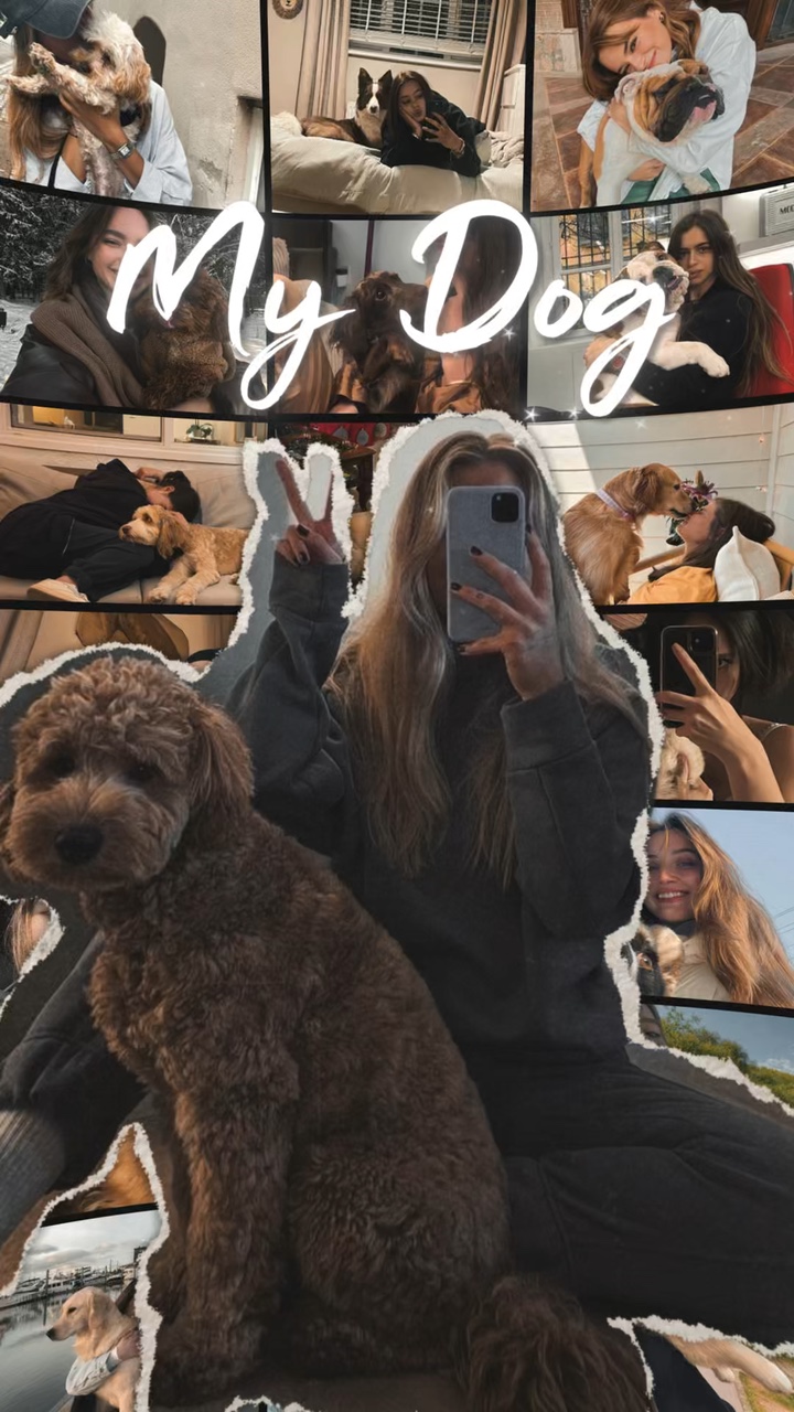 Meu Cachorro 