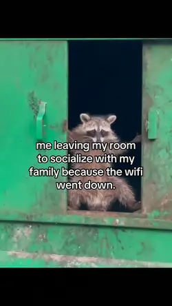 pov: no wifi