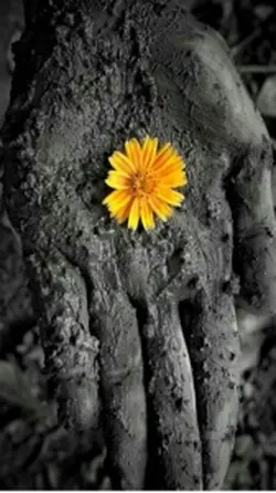 泥に咲く花