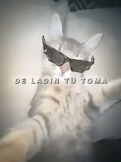 oi