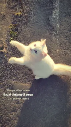 lyrics song 