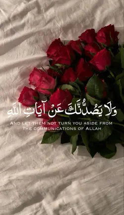 سورة القصص ♥️