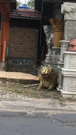 harimau malaya