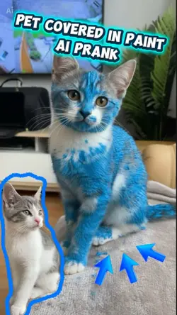 Pet Paint Prank