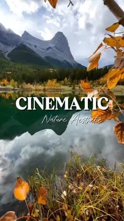 Cinematic Nature. 