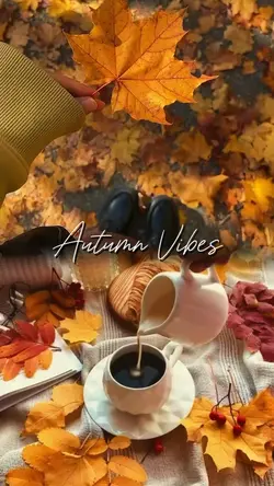 autumn vibes