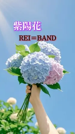 紫陽花/REI=BAND
