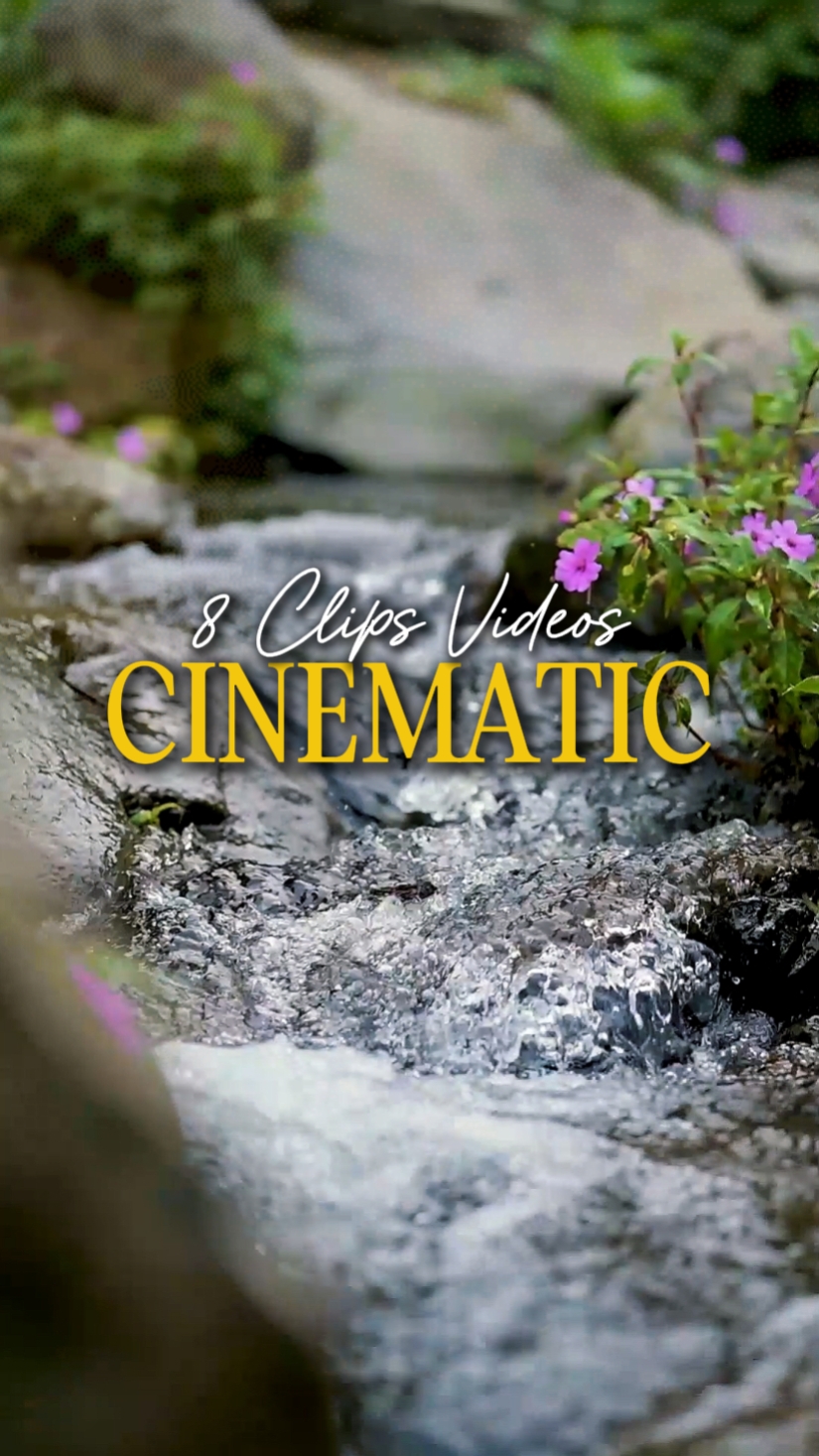 CINÉMATIQUE 8 VIDÉOS