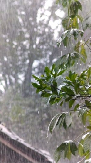Rain January