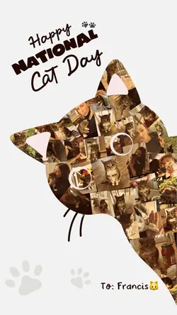 National Cat Day