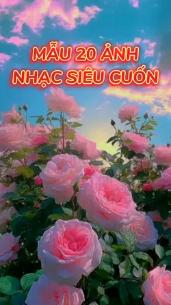 Mẫu 20 ảnh