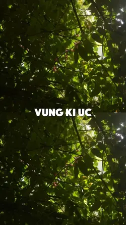 VÙNG KÍ ỨC