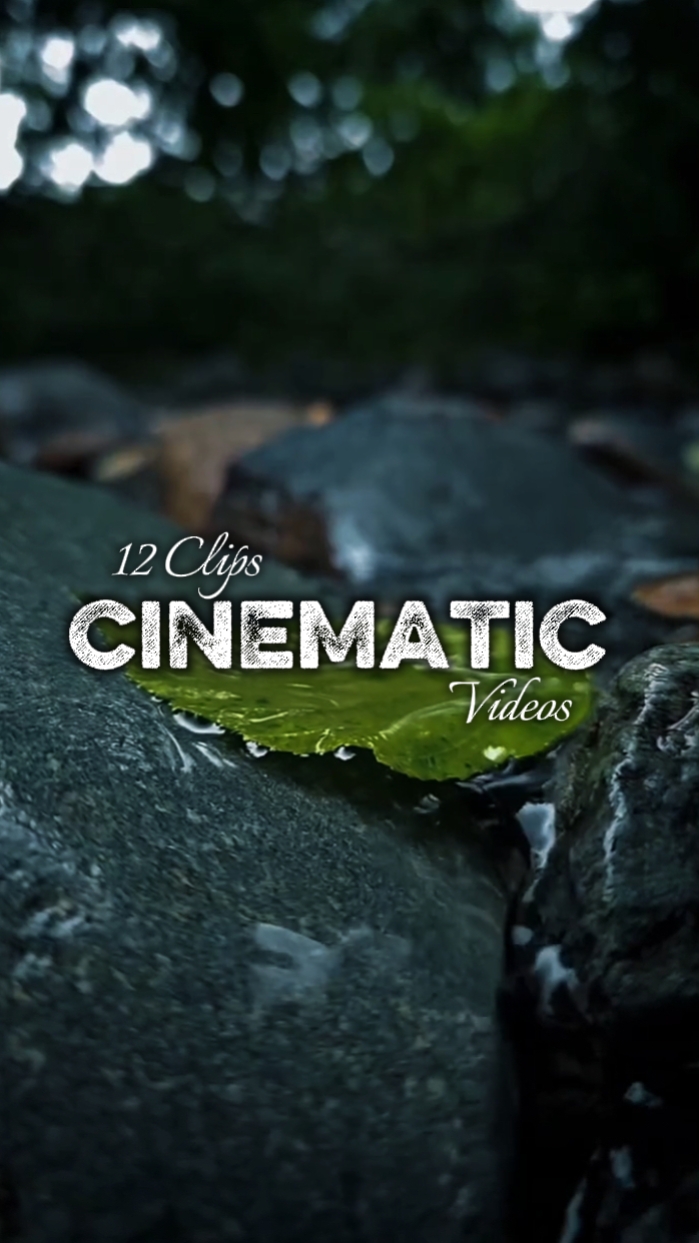 12 Clips Cinematic 