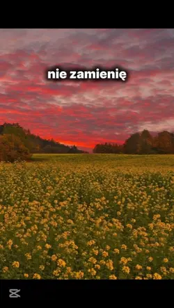 nie zamnienie
