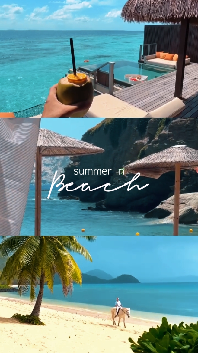 海滩的夏天