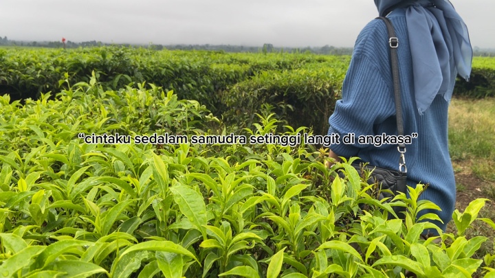 Lirik seluas samudra