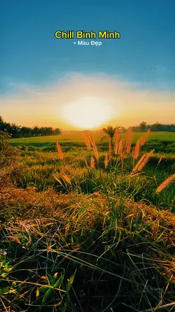 Chill Bình Minh 
