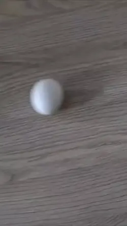 The broken egg