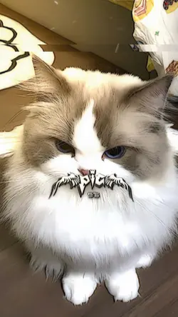 🤎