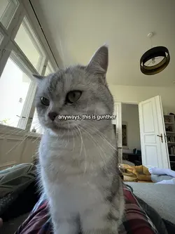 based on a true stor