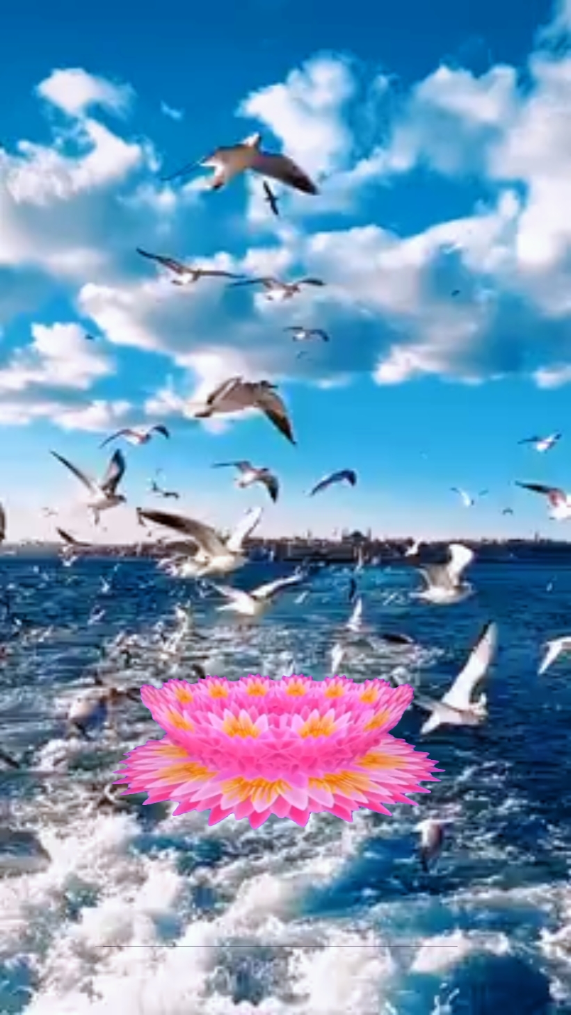 Ghép đѕc l 