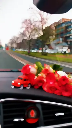 Slowmotion video 🔥✨