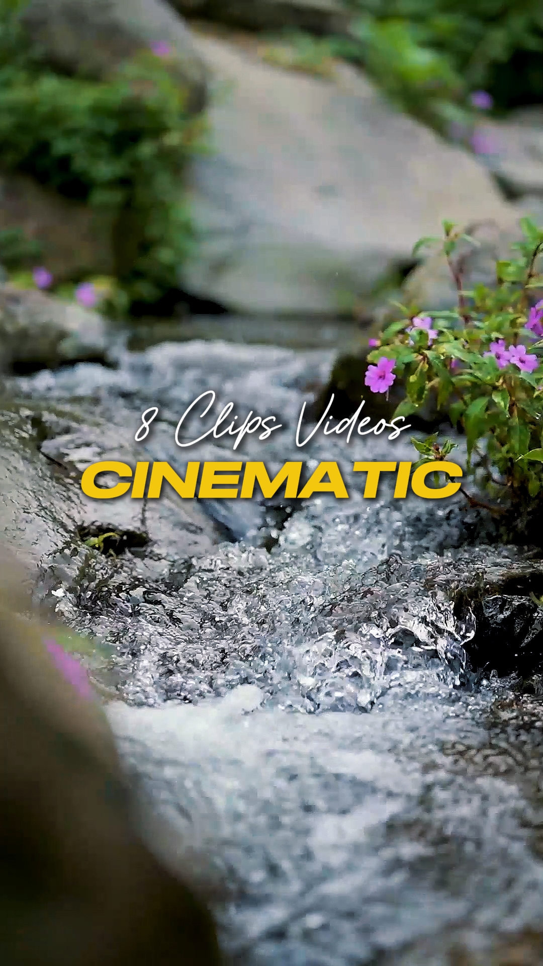 8 vídeos cinematográficos