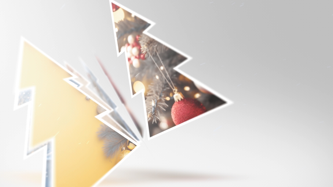 X-Mas ²⁸