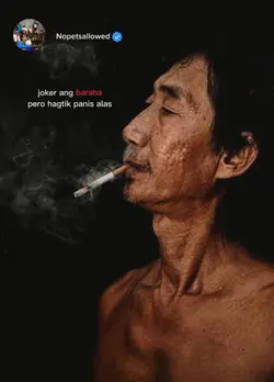 Nopetsallowed lyrics