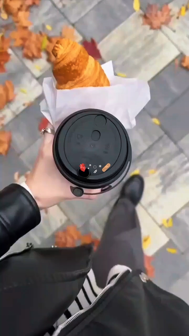 vlog estetika