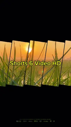 Shorts 6 Video Pro