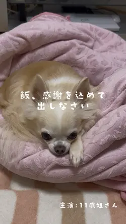 わがまま姐さん降臨