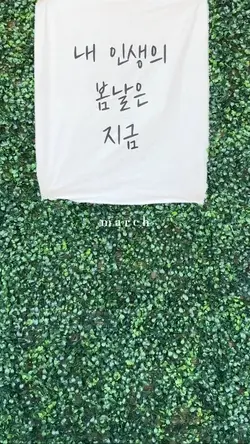 3월 잔잔한 8컷 일상