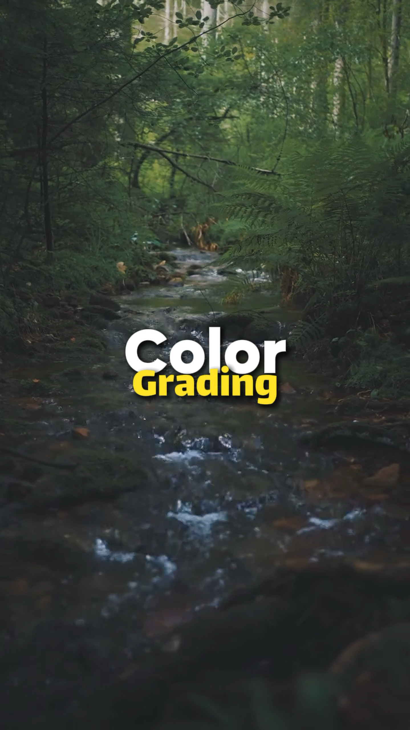 Color Grading 