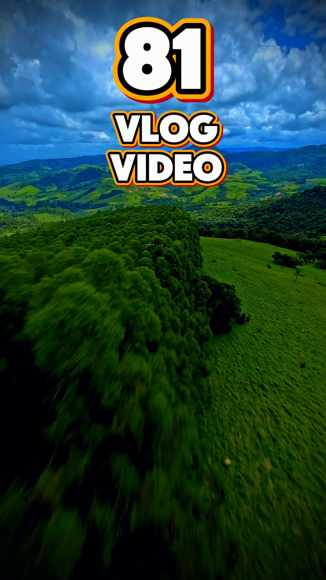 81 vlog video