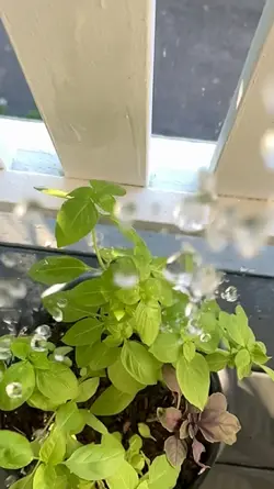 Gentle Water Drops