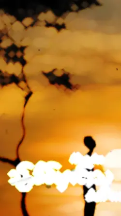 ပေႃးၵေႃႉႁၵ်ႉၶႃႈ