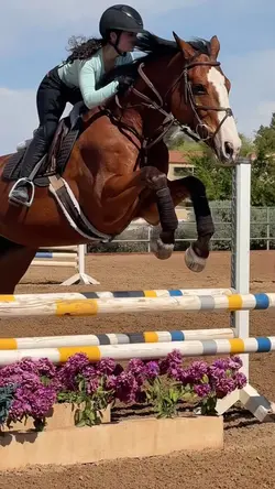 Horse edit💕NOT REAL‼️