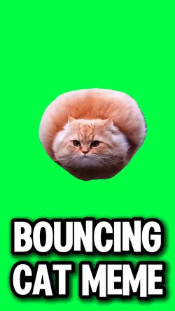 BOUNCING CAT MEME