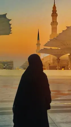 Arabicsong 