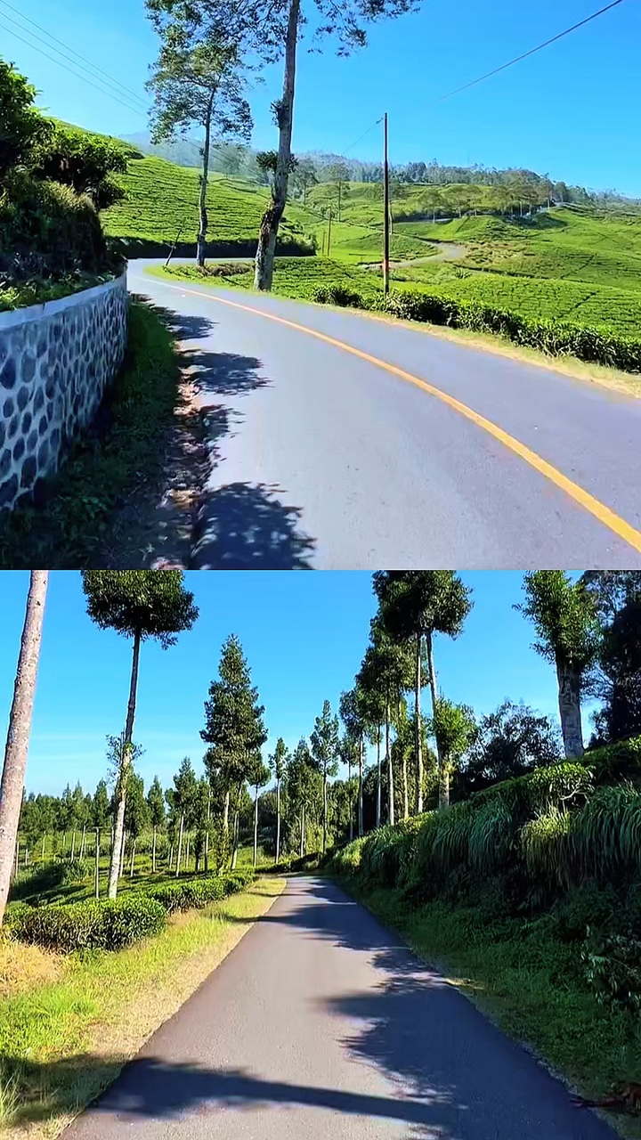 2 video collage